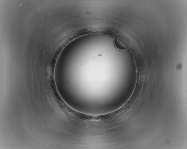 X0000090480647200707272320