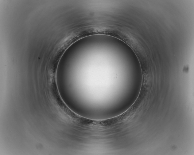 X0000090480648200707272320