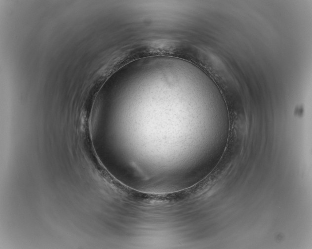 X0000090480649200707272320