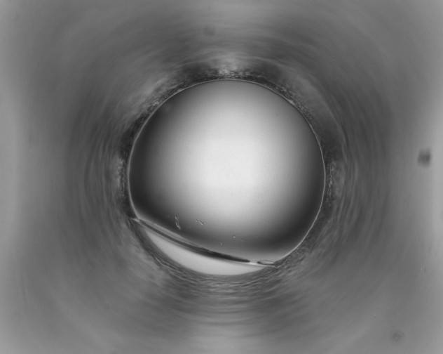 X0000090480650200707272320