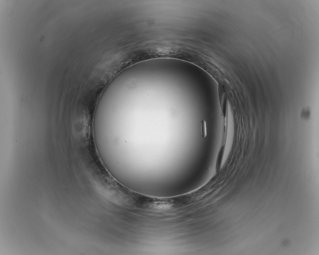 X0000090480651200707272320