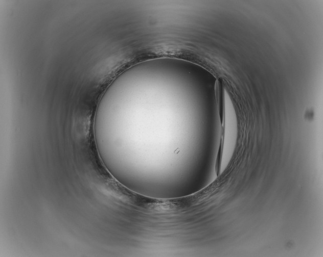 X0000090480652200707272320