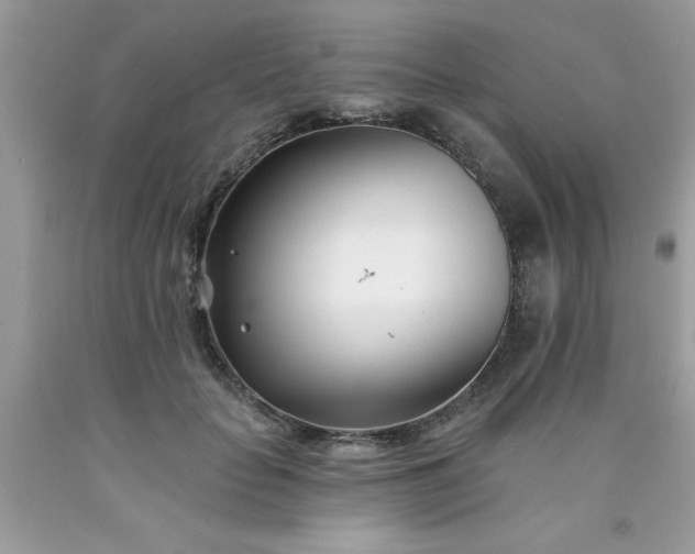 X0000090480653200707272320