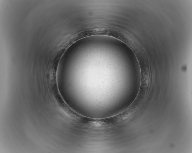 X0000090480654200707272320