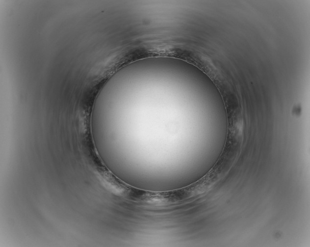 X0000090480658200707272320