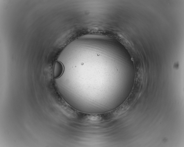 X0000090480659200707272320