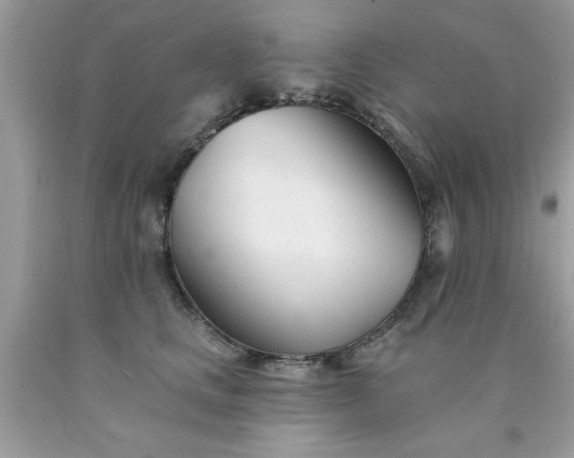 X0000090480661200707272320