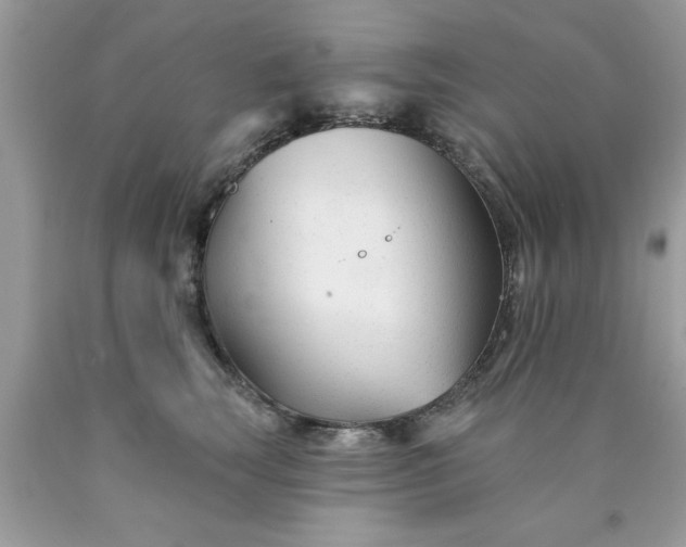 X0000090480663200707272320