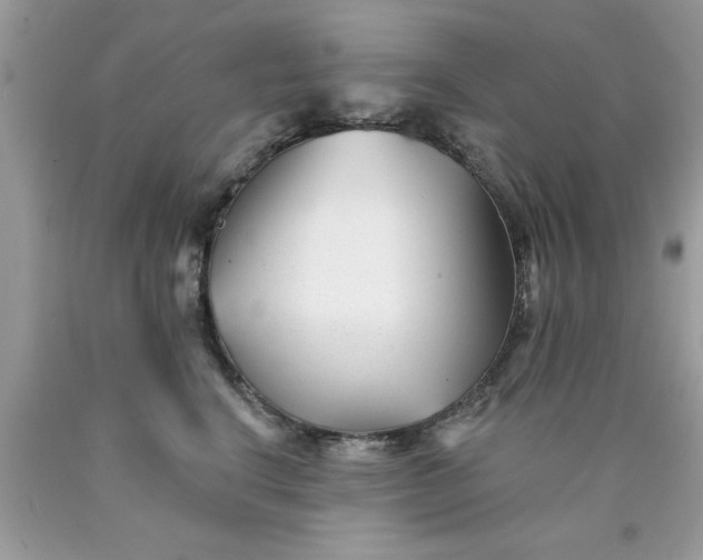 X0000090480664200707272320