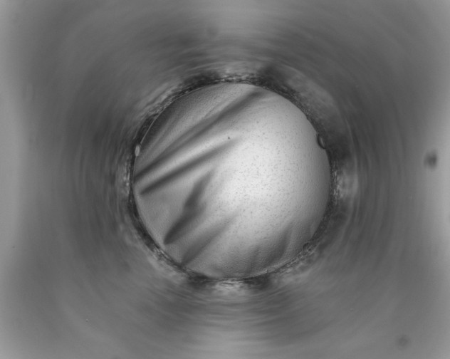 X0000090480666200707272320