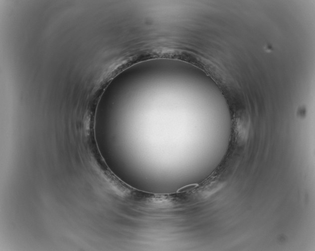 X0000090480668200707272320