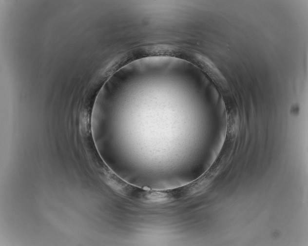 X0000090480669200707272320