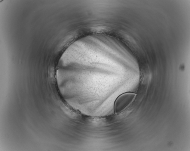 X0000090480670200707272320