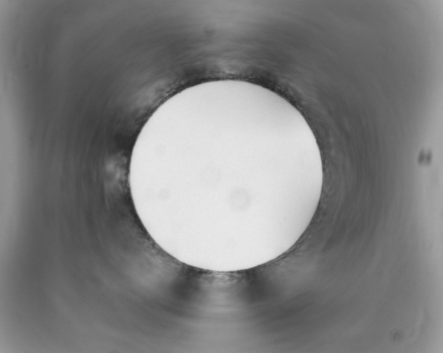 X0000090480672200707272320