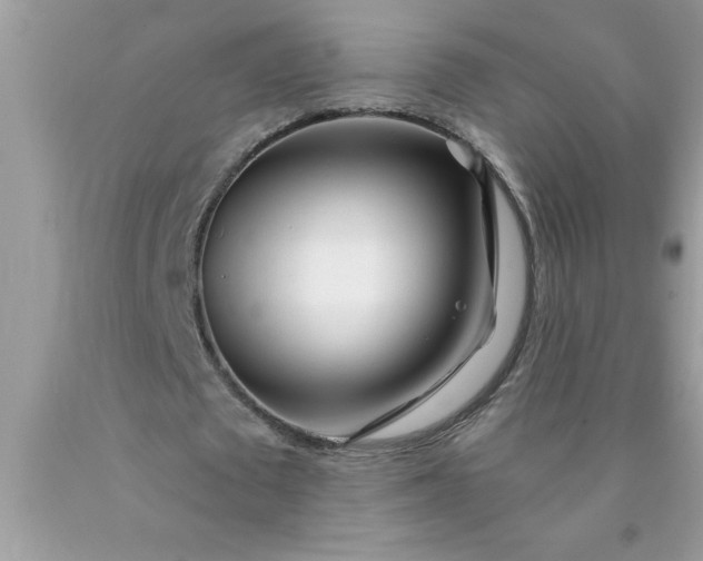 X0000090480673200707272319