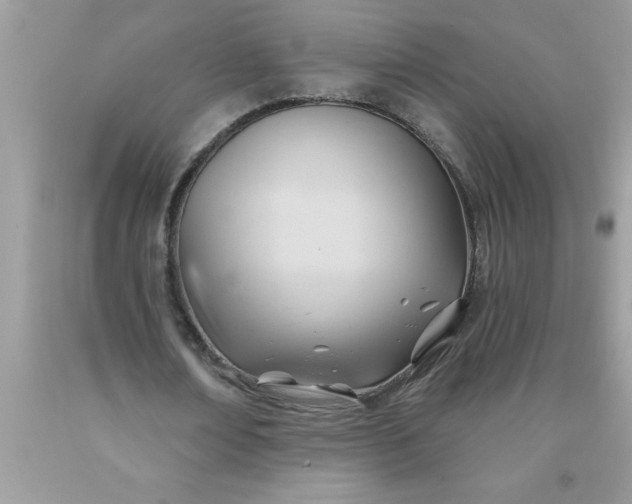 X0000090480674200707272319