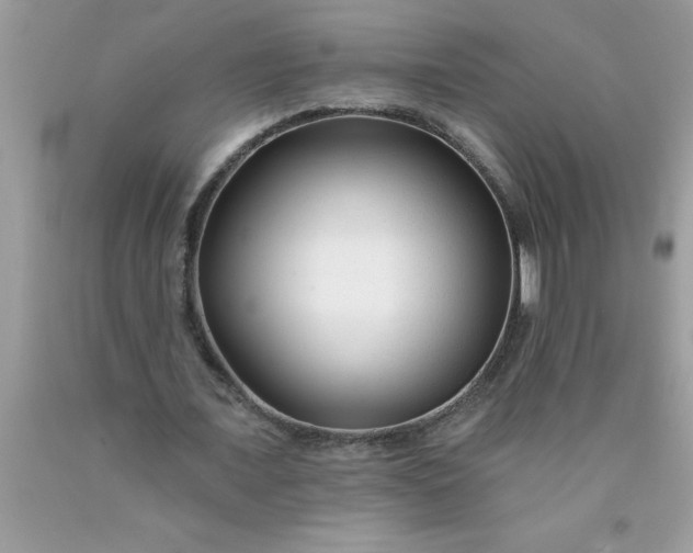 X0000090480675200707272319