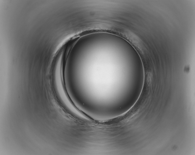 X0000090480676200707272319