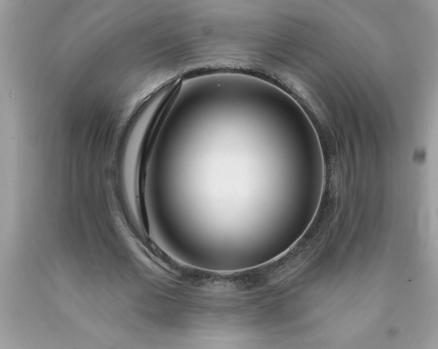 X0000090480677200707272319