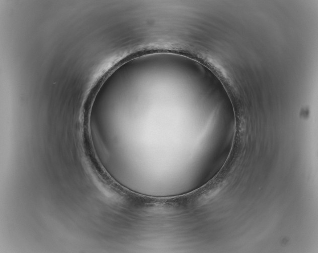 X0000090480678200707272319