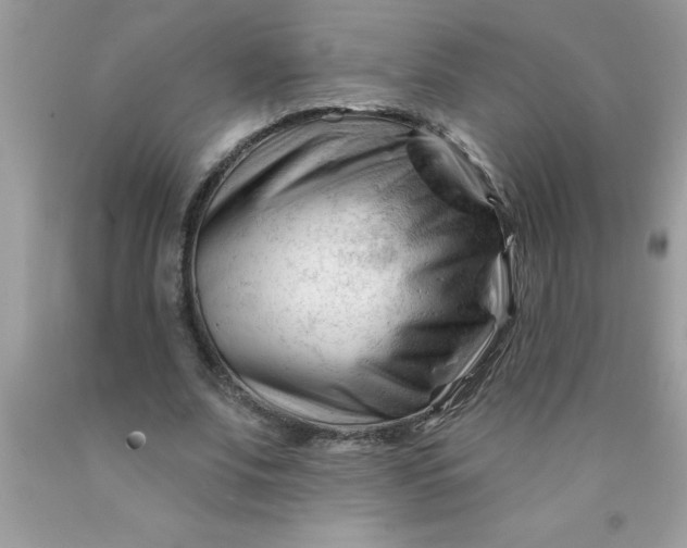 X0000090480679200707272319