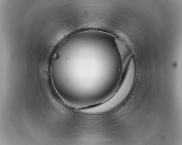 X0000090480680200707272319