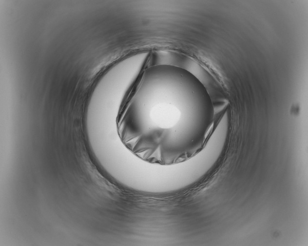 X0000090480681200707272319