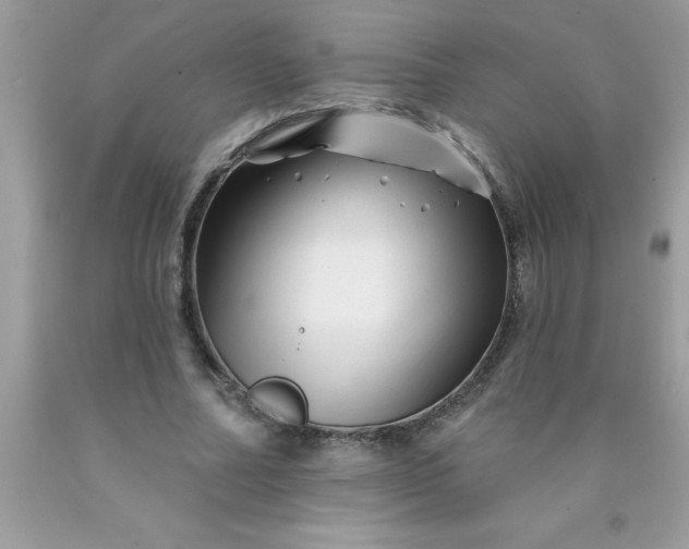 X0000090480682200707272319