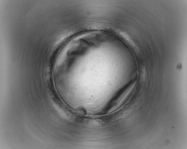 X0000090480683200707272319