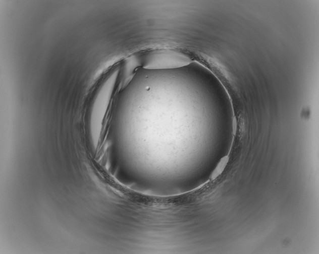 X0000090480684200707272319