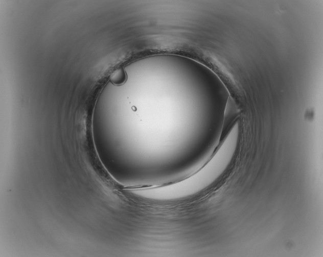 X0000090480685200707272319