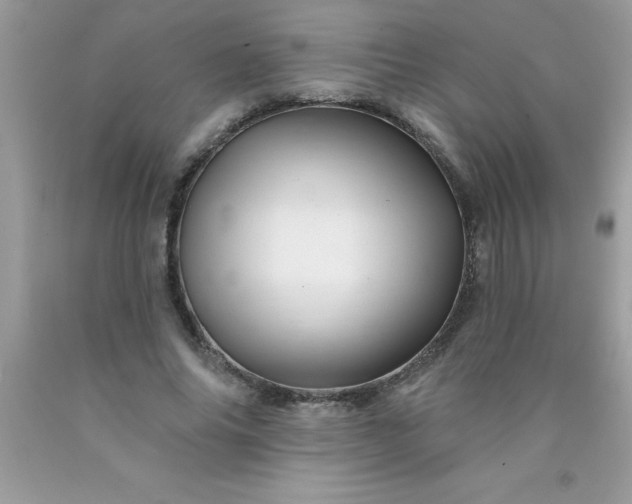 X0000090480686200707272319