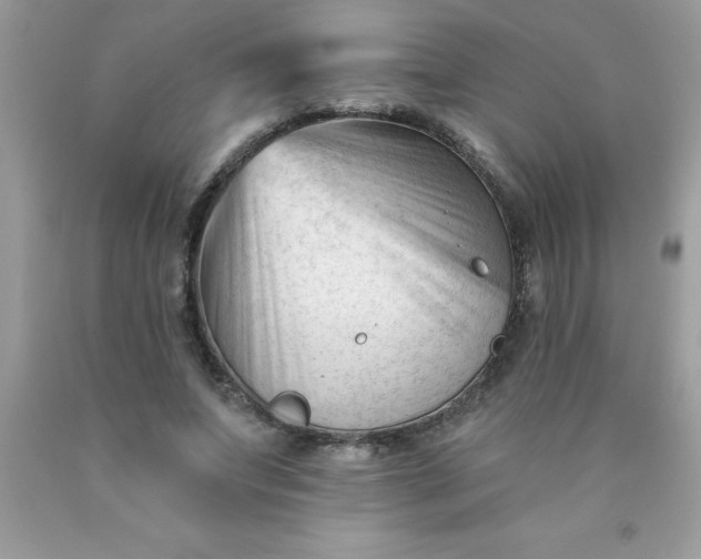 X0000090480687200707272319