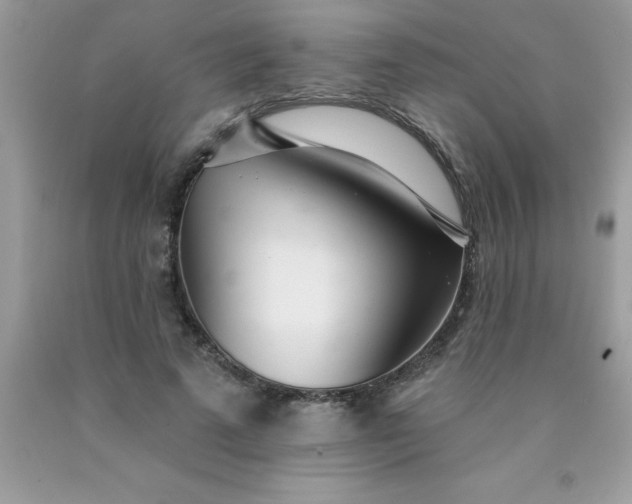 X0000090480689200707272319