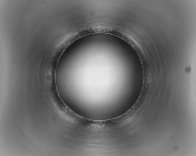 X0000090480690200707272319