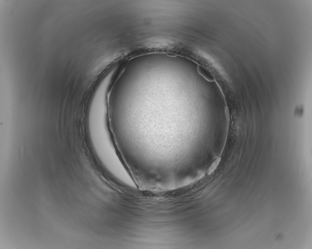 X0000090480692200707272319