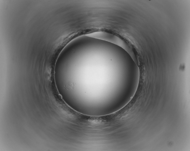 X0000090480693200707272319