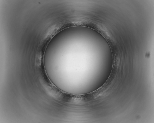 X0000090480694200707272319