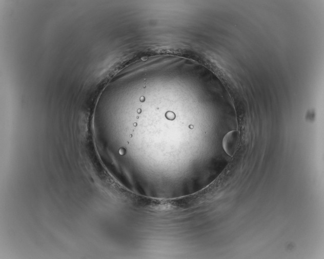 X0000090480695200707272319