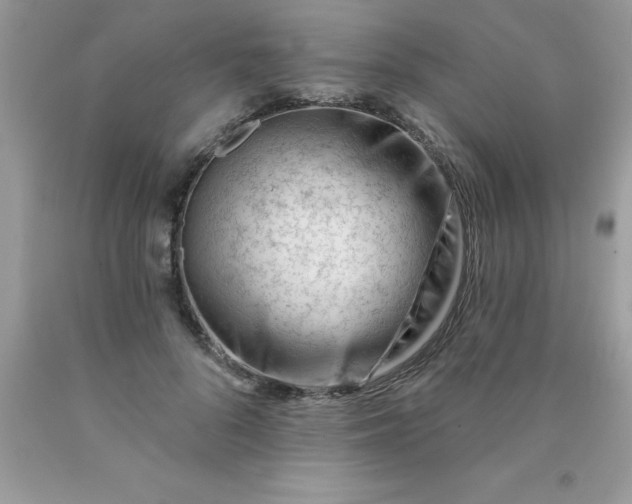 X0000090480696200707272319