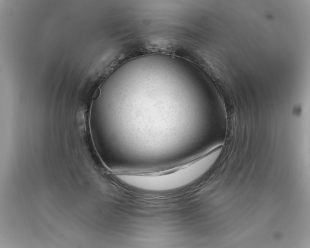 X0000090480699200707272319