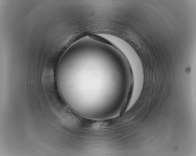 X0000090480700200707272319