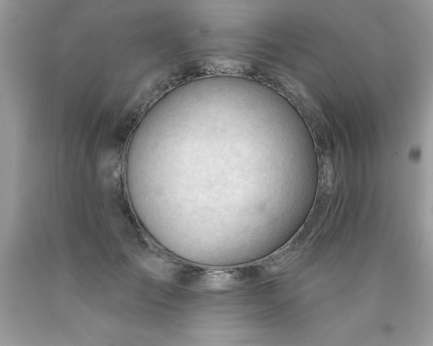 X0000090480701200707272319