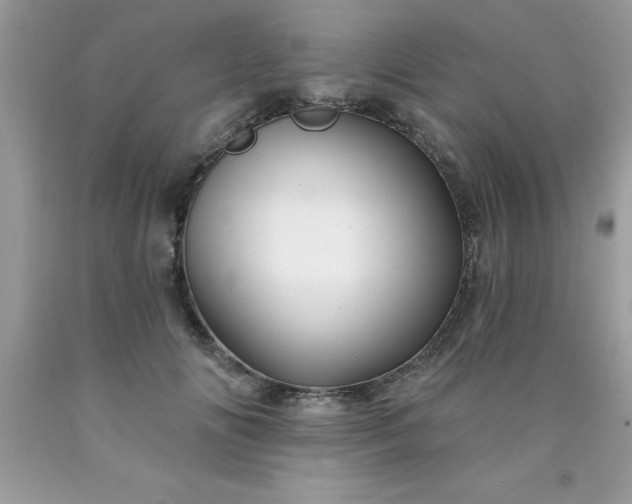 X0000090480702200707272319