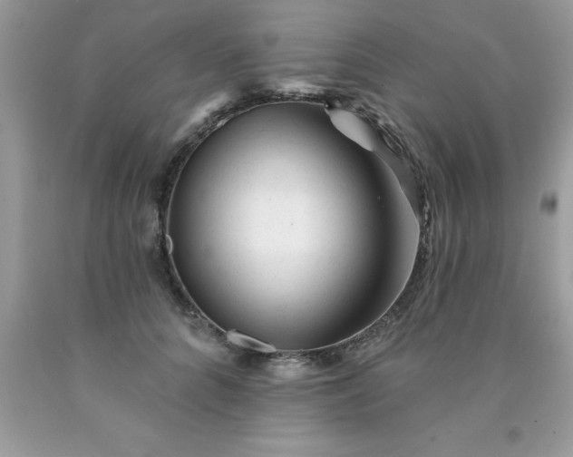 X0000090480704200707272319