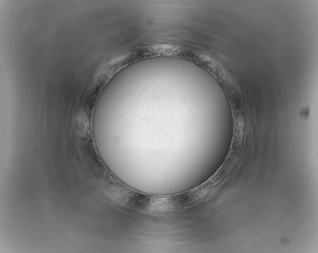 X0000090480705200707272319