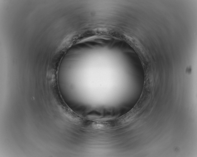 X0000090480706200707272319