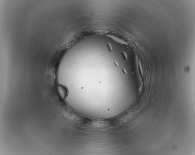 X0000090480707200707272319