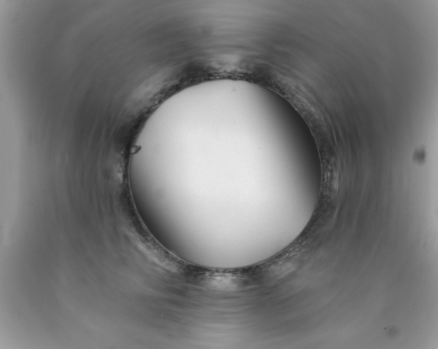 X0000090480710200707272319