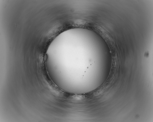 X0000090480711200707272319